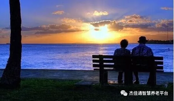 聚焦老年人现实需要，健全基本养老服务体系—(图1)